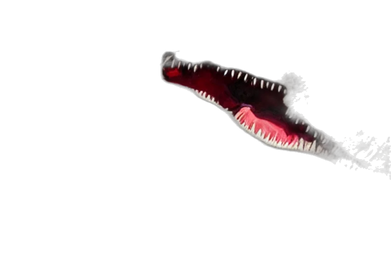 dragon, creature, animal, weapon transparent PNG cut-out