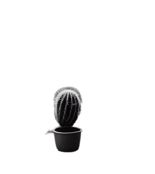 hat, flower, staff, bottle transparent PNG cut-out