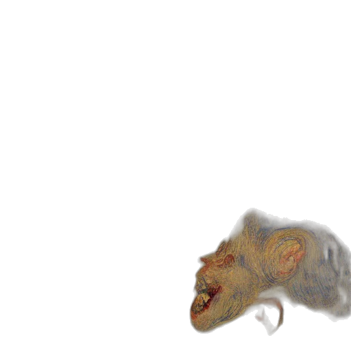 creature, animal, dragon, face transparent PNG cut-out