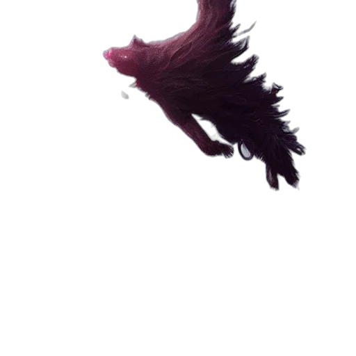dragon, creature, hair, animal transparent PNG cut-out