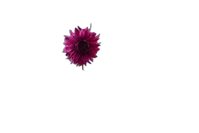 flower, crown, staff, jewelry transparent PNG cut-out
