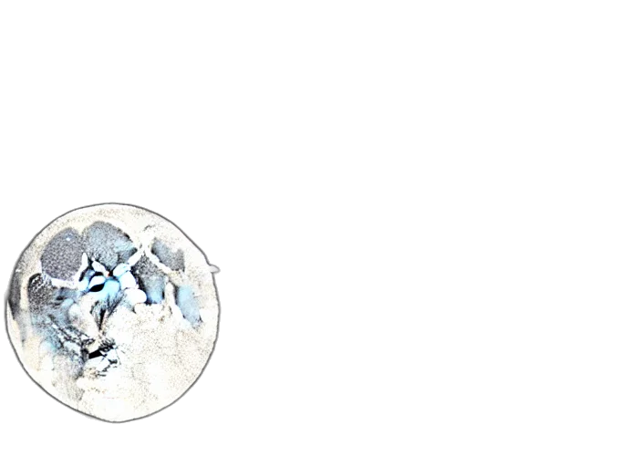 dragon, creature, mask, jewelry transparent PNG cut-out
