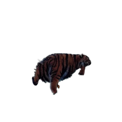 animal, creature, hair, dragon transparent PNG cut-out