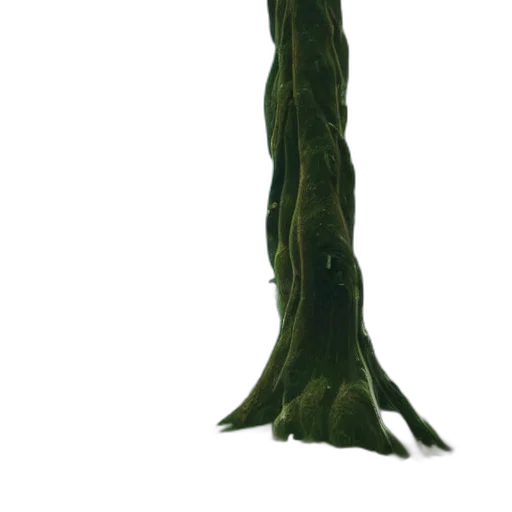 tree, staff, crown, sword transparent PNG cut-out