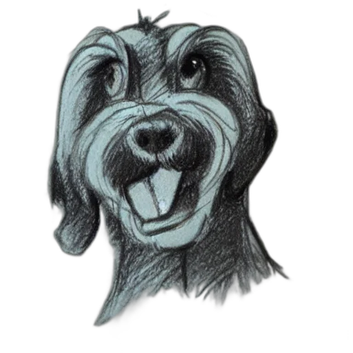 face, animal, staff, creature transparent PNG cut-out