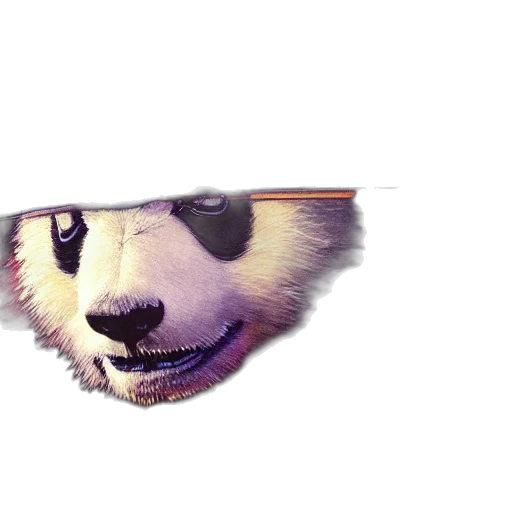animal, mask, creature, face transparent PNG cut-out