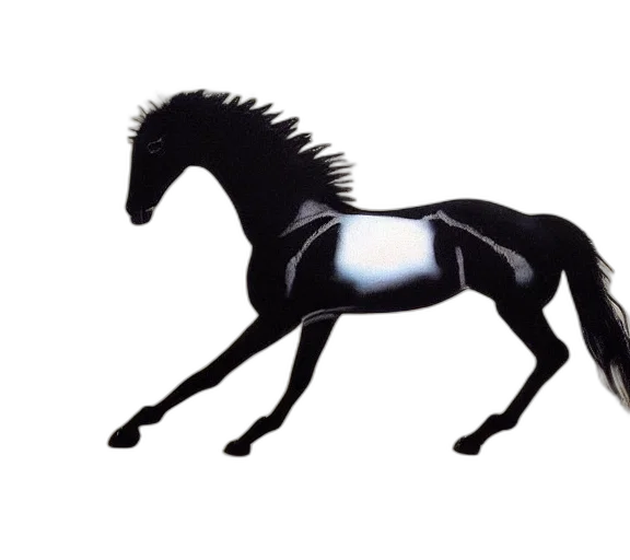 animal, dragon, creature, hair transparent PNG cut-out