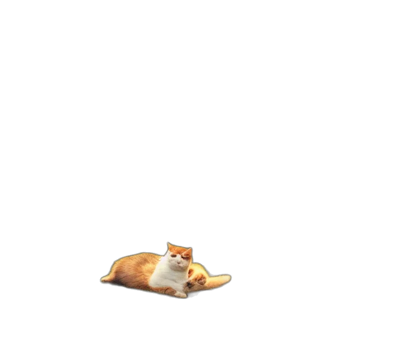 animal, creature, staff, food transparent PNG cut-out