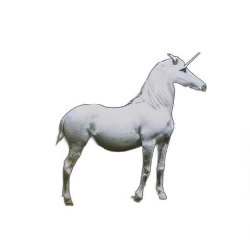 animal, dragon, creature, staff transparent PNG cut-out