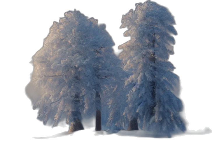 tree, crown, jacket, dress transparent PNG cut-out