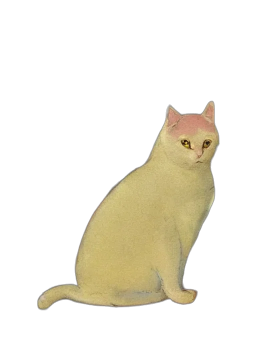animal, creature, staff, dress transparent PNG cut-out