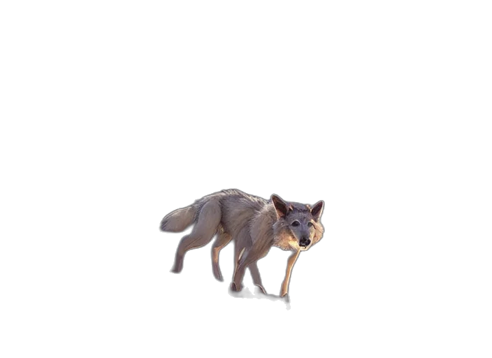 animal, creature, robot, staff transparent PNG cut-out