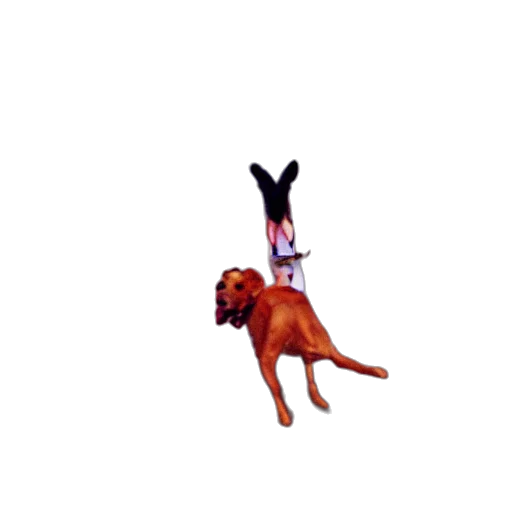 animal, creature, staff, pixel art transparent PNG cut-out