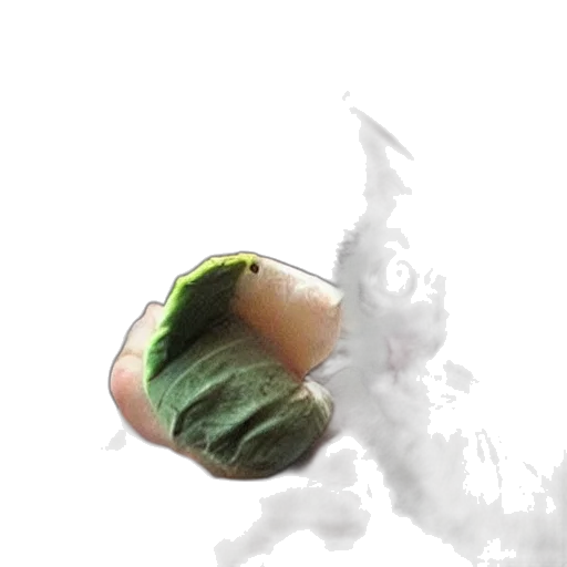 dragon, food, weapon, bottle transparent PNG cut-out