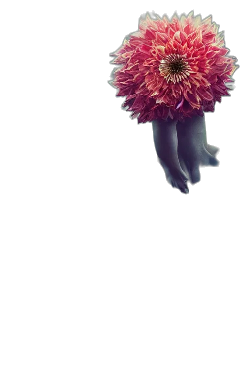 flower, crown, creature, staff transparent PNG cut-out