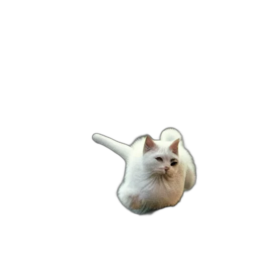 animal, creature, staff, face transparent PNG cut-out