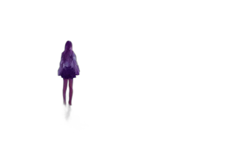 dress, umbrella, hair, jacket transparent PNG cut-out