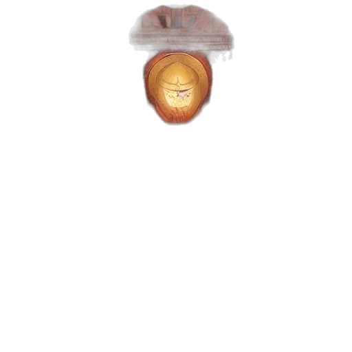 bottle, jewelry, hat, furniture transparent PNG cut-out