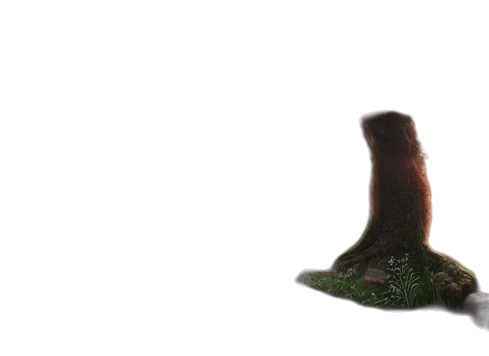 bottle, hat, shoes, crown transparent PNG cut-out