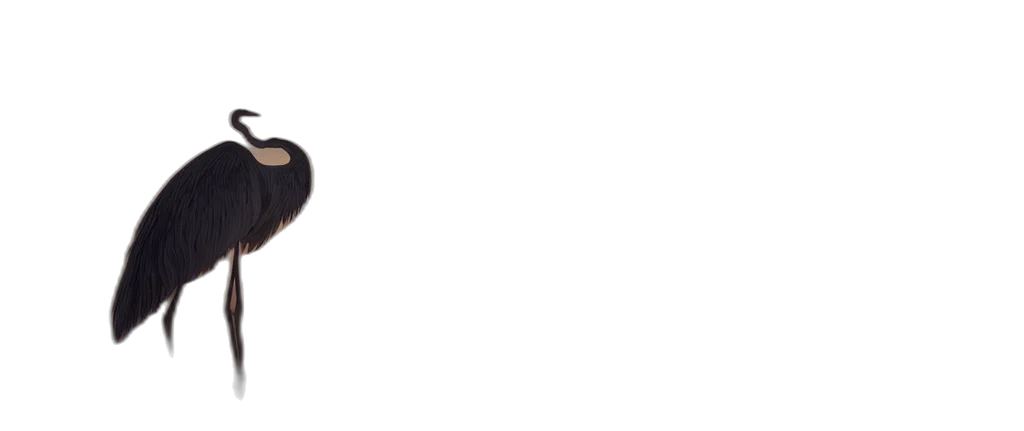 staff, face, mask, hat transparent PNG cut-out