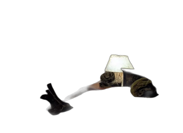shoes, furniture, hat, animal transparent PNG cut-out