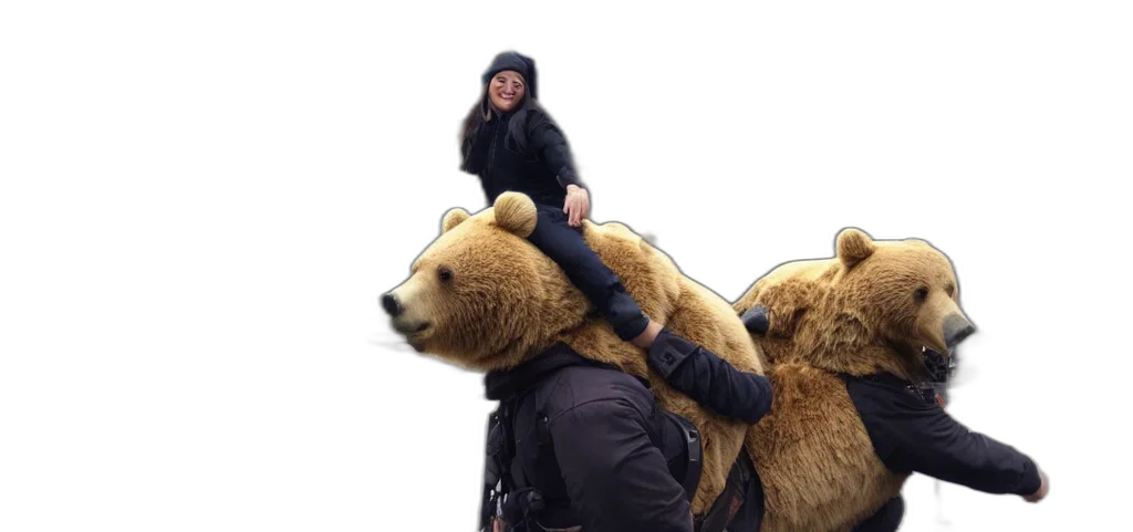 animal, riding, bear, work transparent PNG cut-out