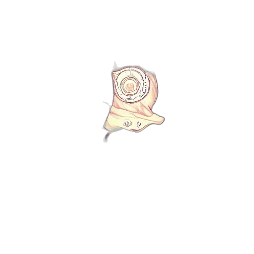 flower, creature, hat, food transparent PNG cut-out