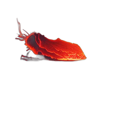 animal, dragon, hat, creature transparent PNG cut-out