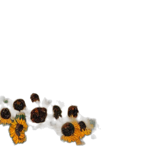 flower, crown, jewelry, food transparent PNG cut-out
