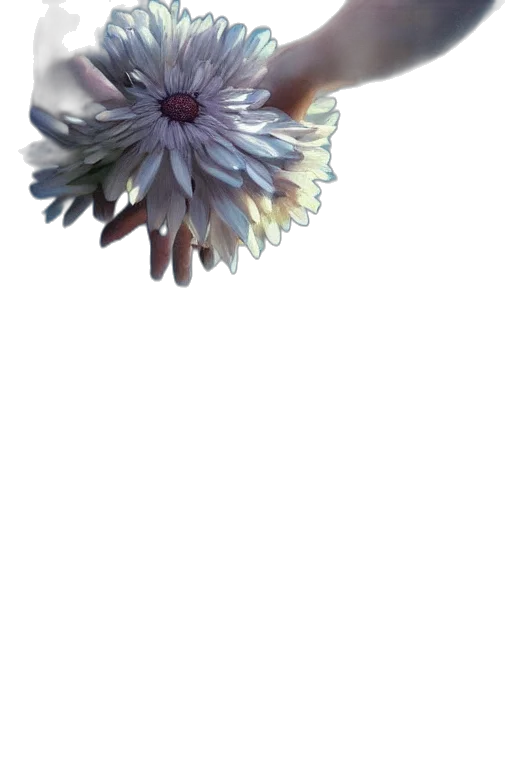 flower, crown, hair, staff transparent PNG cut-out