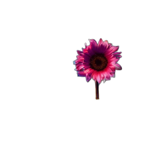 flower, staff, jewelry, crown transparent PNG cut-out