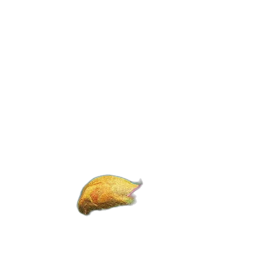 food, animal, creature, hat transparent PNG cut-out