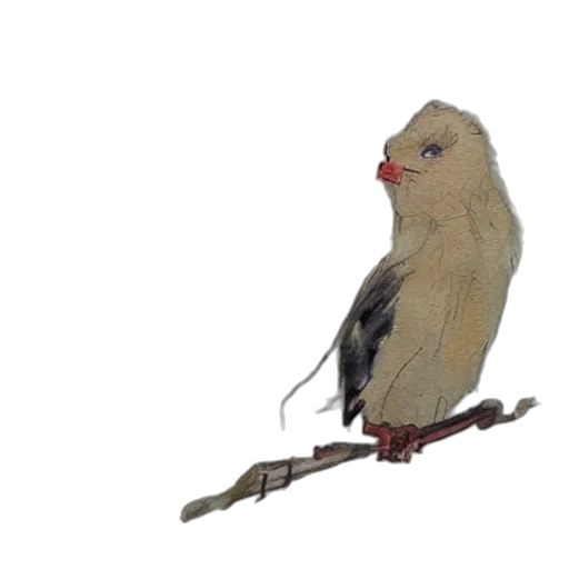 animal, staff, weapon, jewelry transparent PNG cut-out