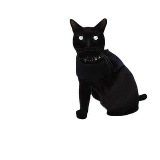 staff, animal, creature, jewelry transparent PNG cut-out