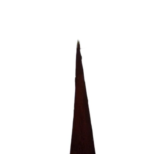 staff, sword, umbrella, crown transparent PNG cut-out