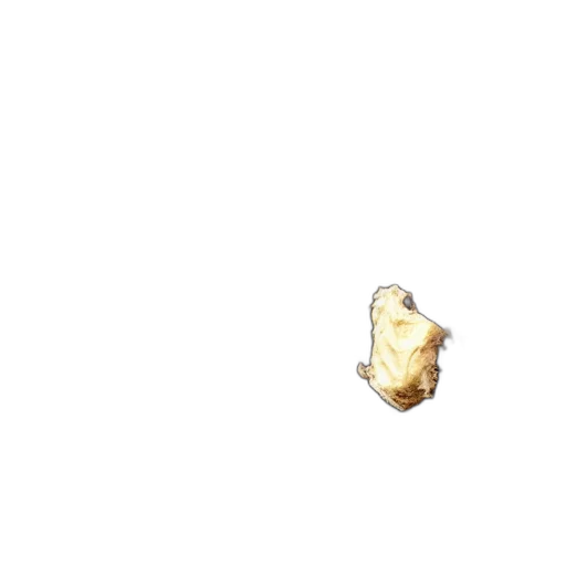 food, shoes, face, hair transparent PNG cut-out