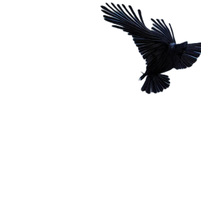 animal, creature, dragon, weapon transparent PNG cut-out