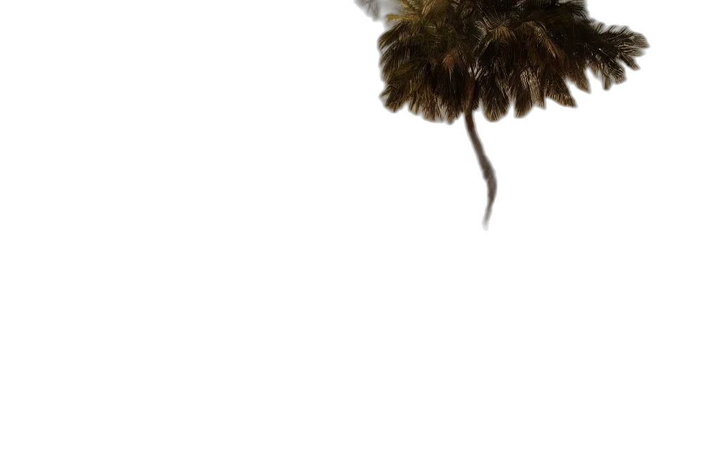 hair, animal, hat, creature transparent PNG cut-out