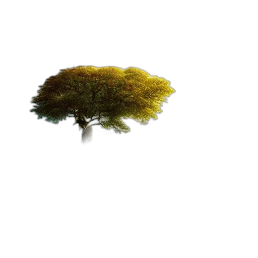 tree, crown, animal, hair transparent PNG cut-out