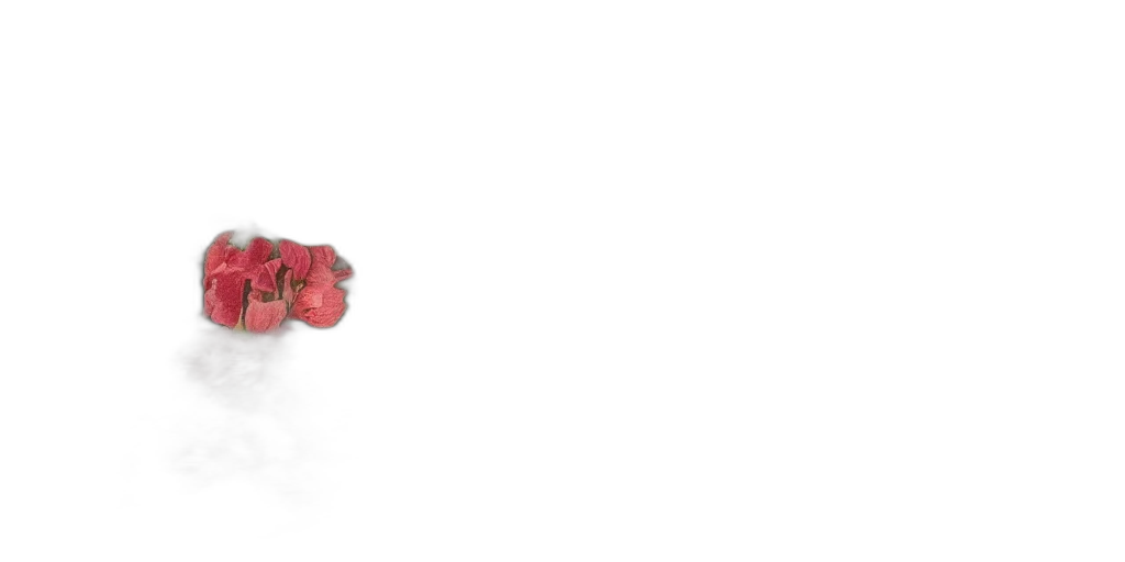 jewelry, flower, shoes, weapon transparent PNG cut-out