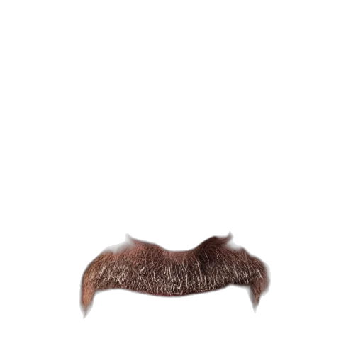 hair, hat, face, mask transparent PNG cut-out