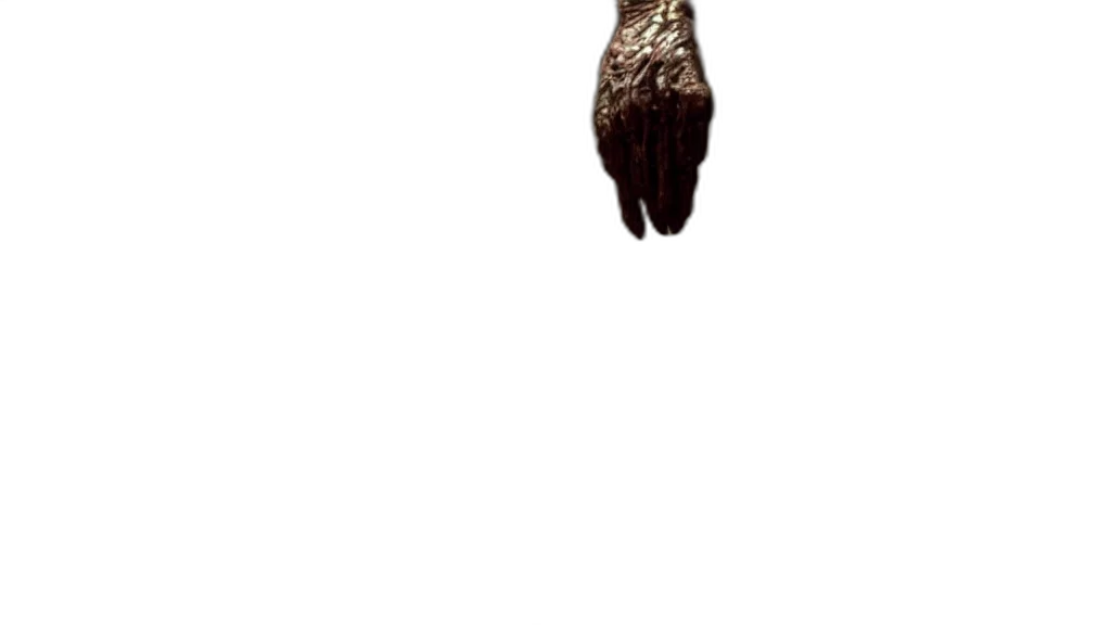 animal, staff, hair, shoes transparent PNG cut-out