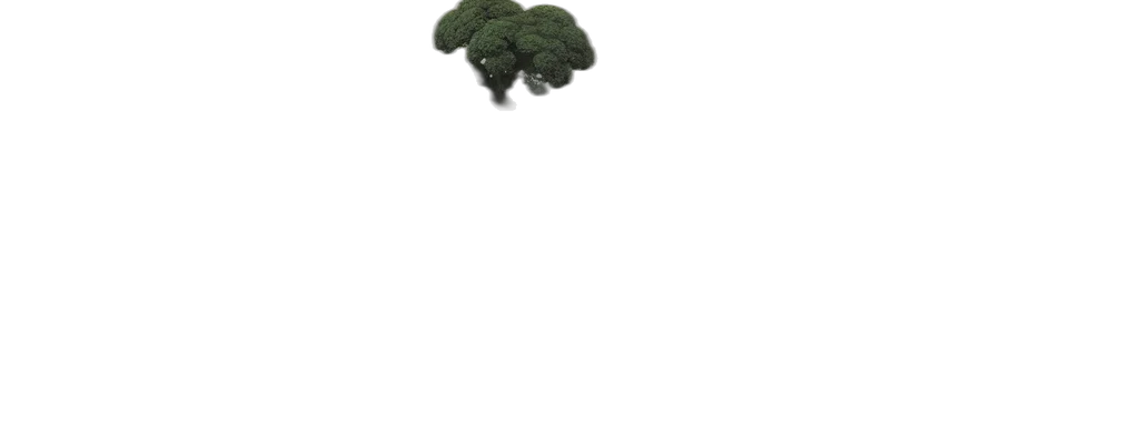tree, hair, hat, crown transparent PNG cut-out