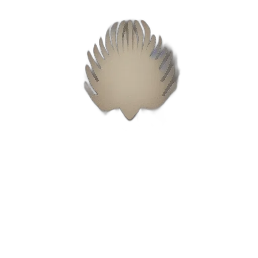 crown, jewelry, hair, hat transparent PNG cut-out