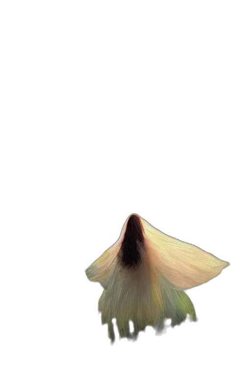 hair, dress, flower, umbrella transparent PNG cut-out