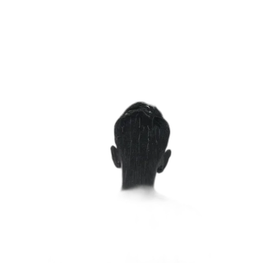 hat, mask, hair, crown transparent PNG cut-out