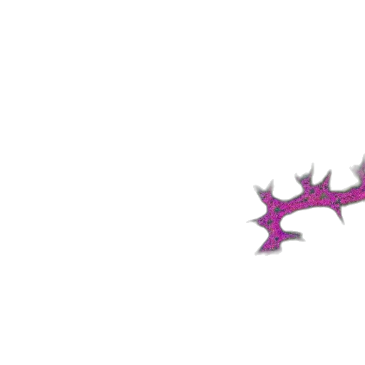 dragon, weapon, sword, crown transparent PNG cut-out