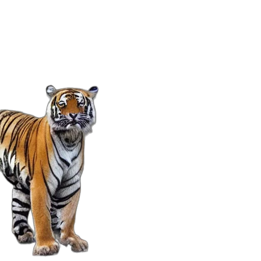 animal, creature, 3d render, photorealistic transparent PNG cut-out