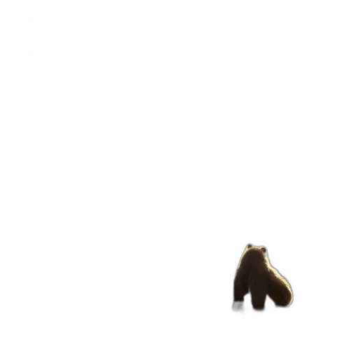 animal, creature, shoes, hat transparent PNG cut-out