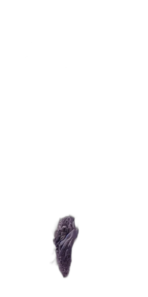 shoes, creature, hair, animal transparent PNG cut-out